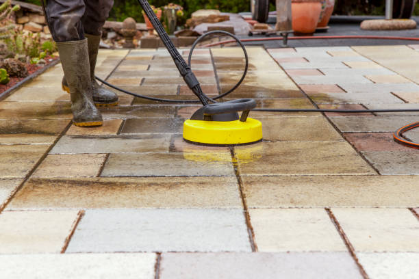 Best Animal Enclosure Cleaning  in Security Widefield, CO